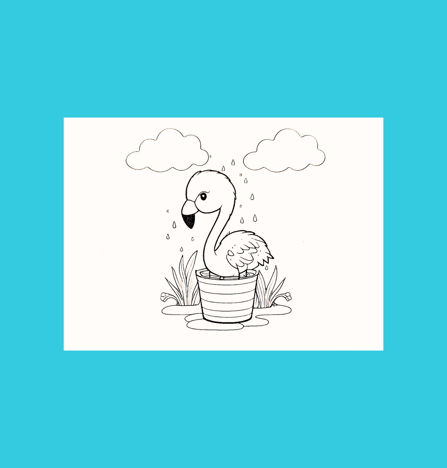 Pre-Packed Colouring Picture Set-Various Pictures