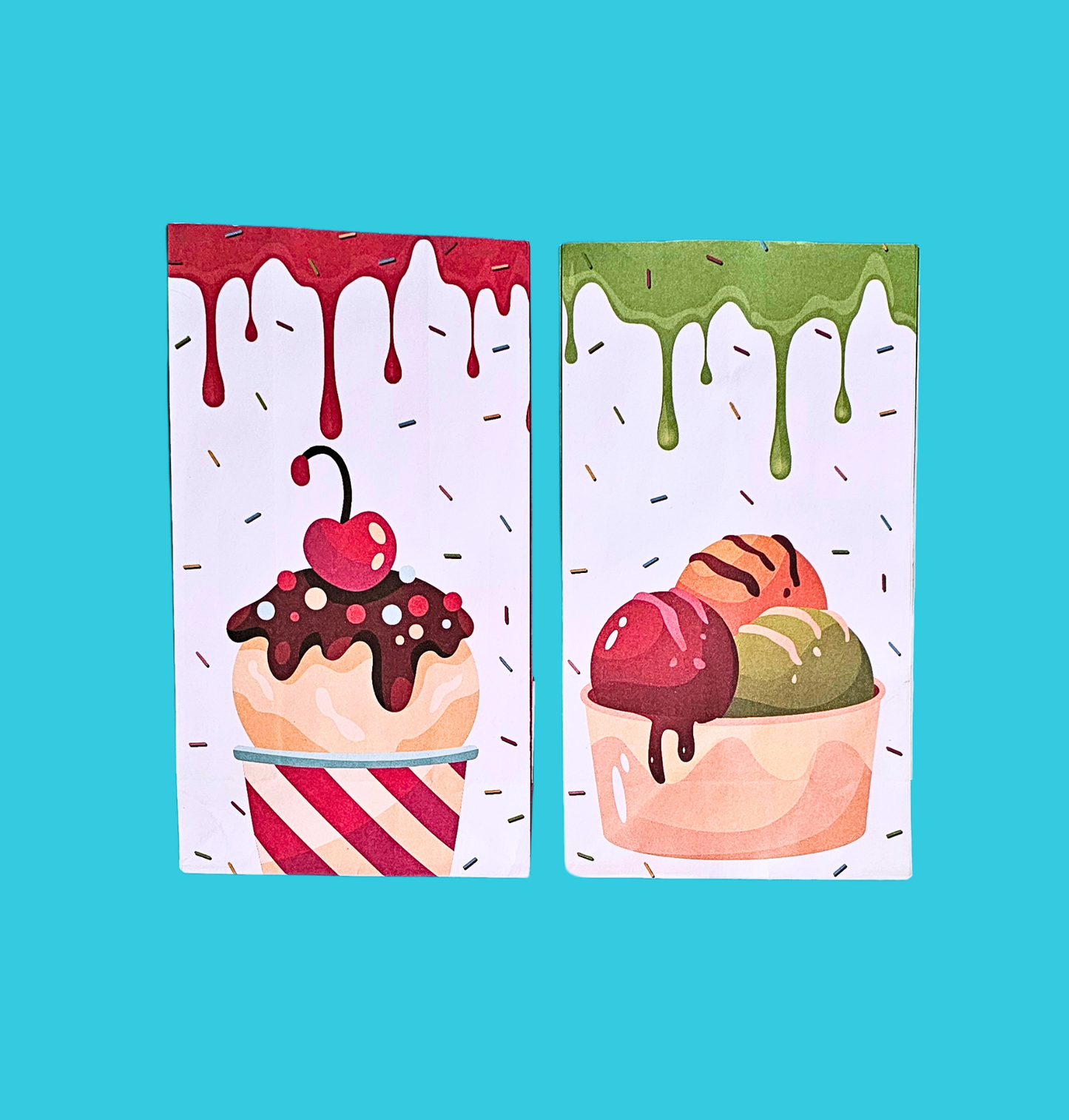 Party Bag-Ice Cream (Set of 4)