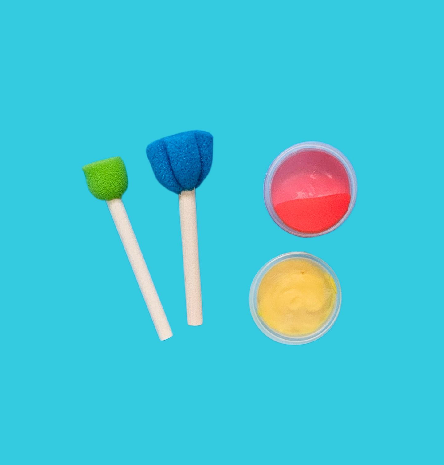Pre-Packed Sponge & Paint Set